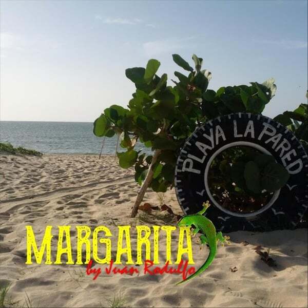 Cover art for Margarita